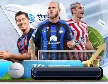 web-xmspanda.com.cn APP